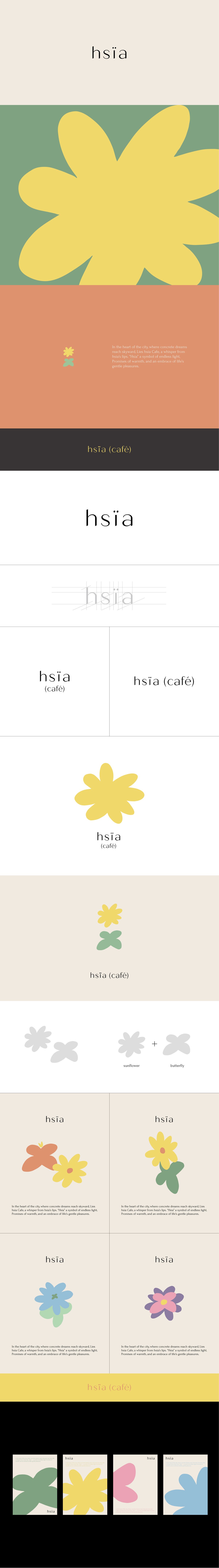 Hsia 案例照片 1