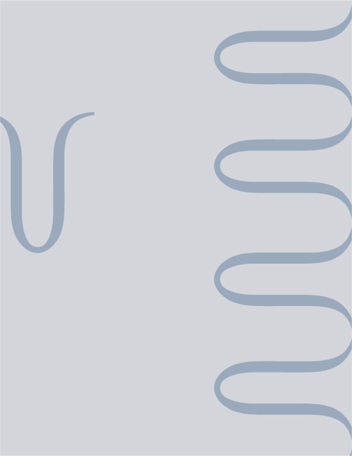 Visual Identity 專案